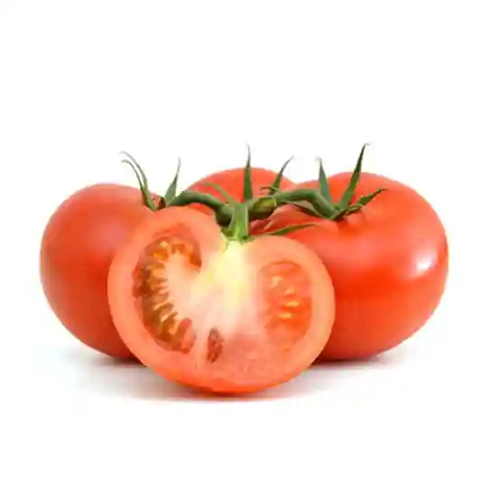 Tomato